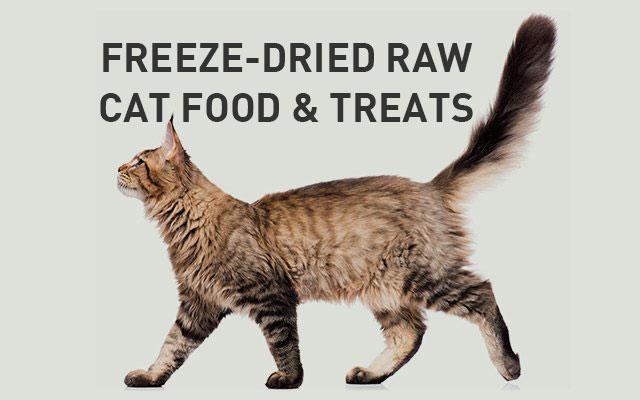 Cat Food & Treats