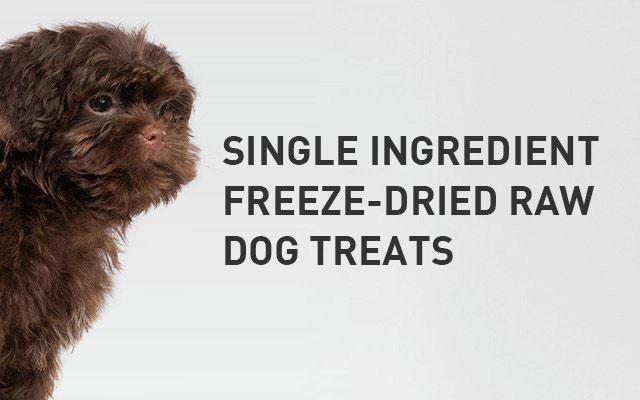 Dog Treats