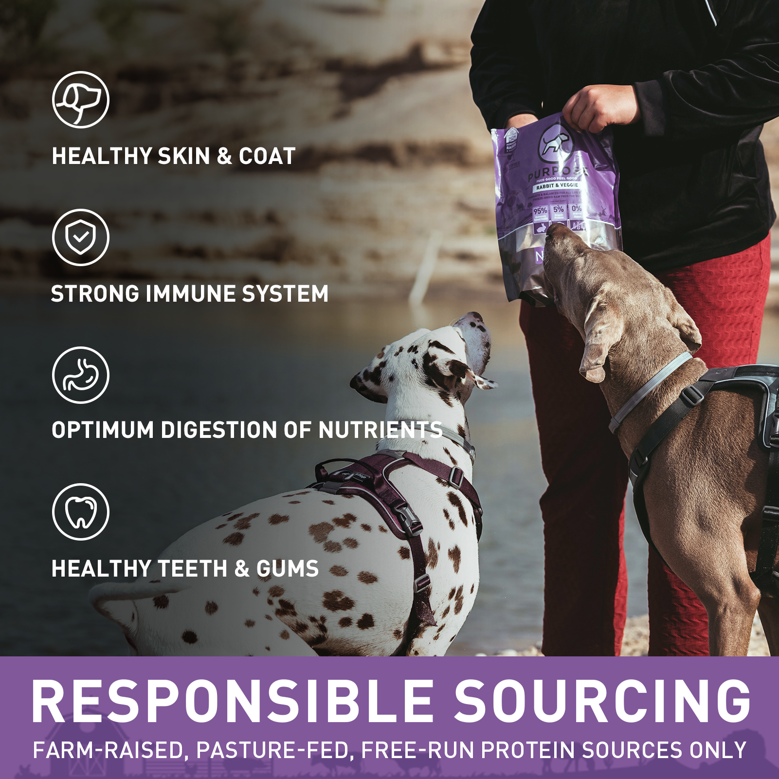 Rabbit & Veggie Freeze-Dried Raw Dog Food 2.5oz