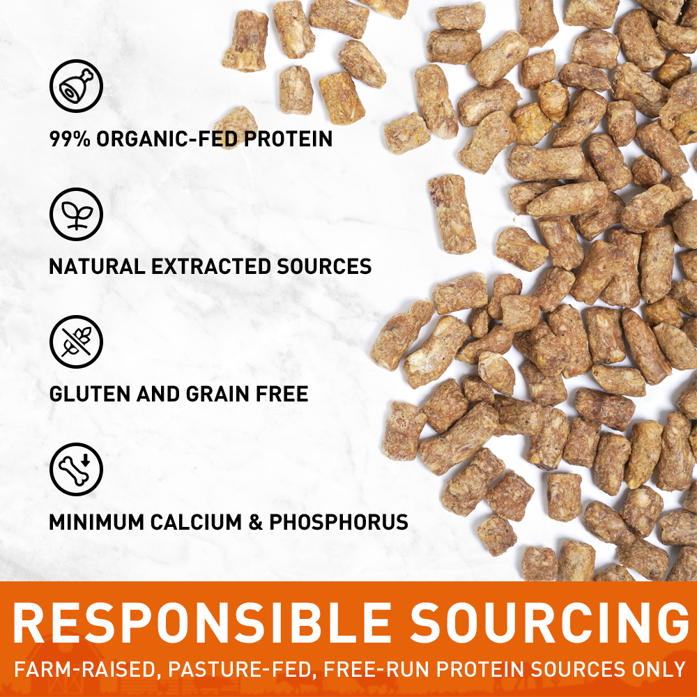 Carnivore Chicken Patties Freeze-Dried Raw Cat Food 2.5 oz.