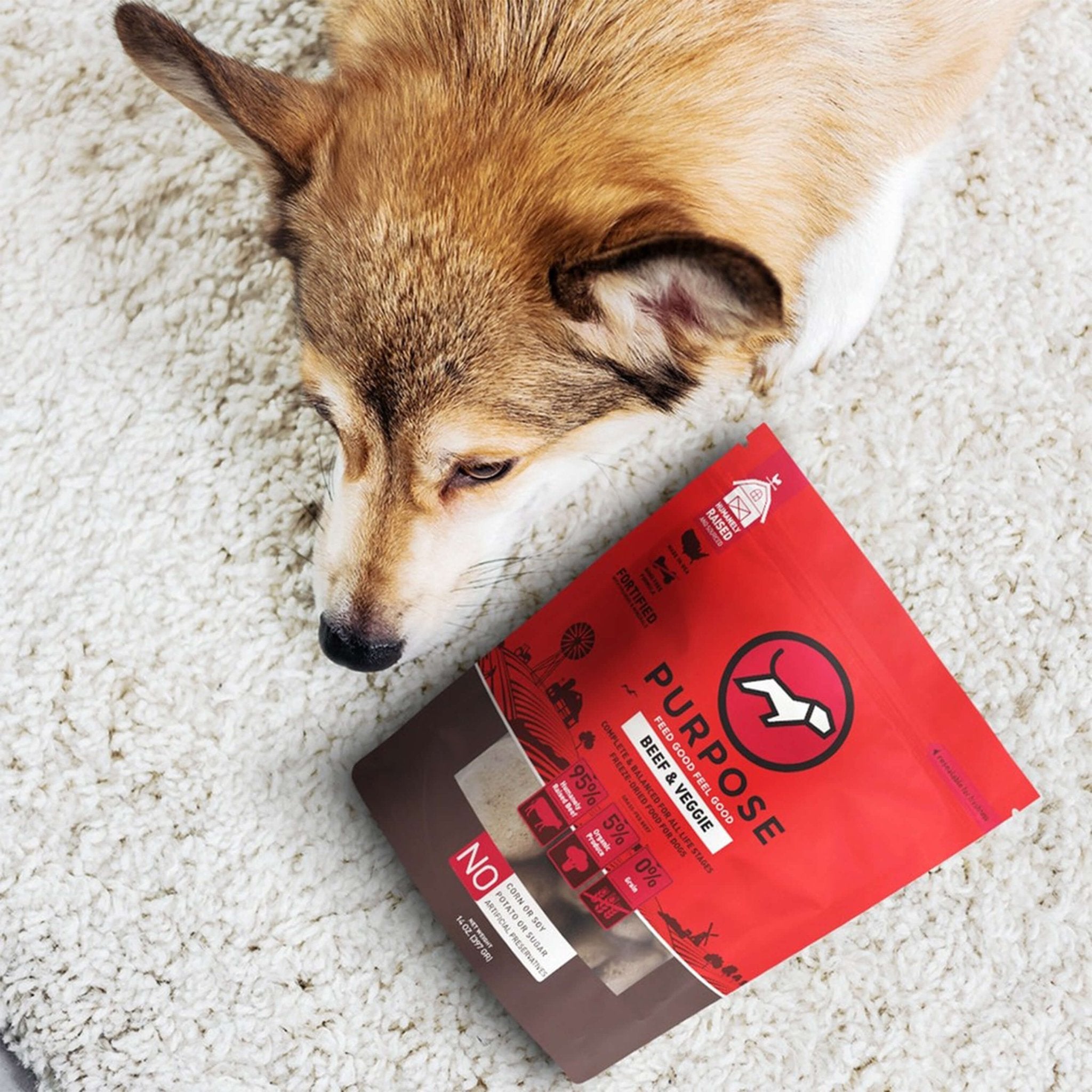 Beef & Veggie Freeze-Dried Raw Dog Food - PURPOSE PET FOOD