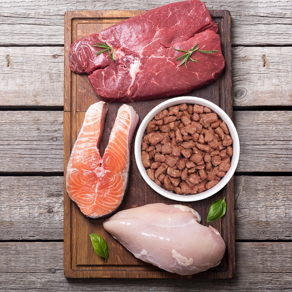 Carnivore Chicken Freeze-Dried Raw Cat Food - PURPOSE PET FOOD