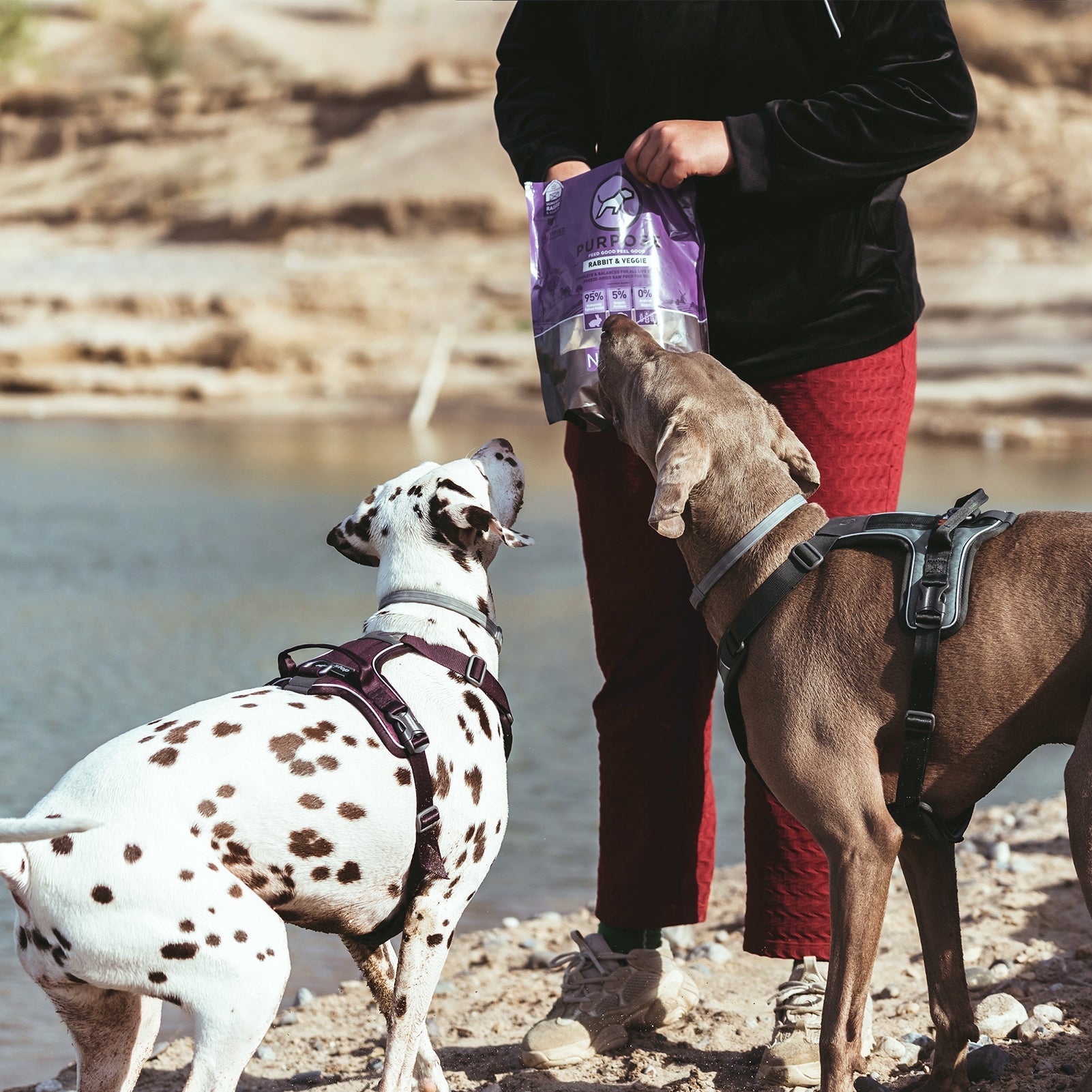 Turkey & Veggie Freeze-Dried Raw Dog Food - PURPOSE PET FOOD