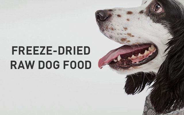 Dog Food | PURPOSE PET FOOD