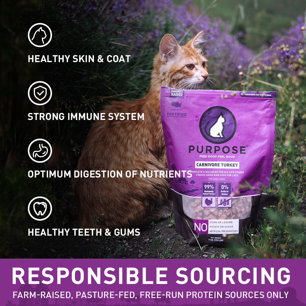 PURPOSE Freeze Dried Raw Cat Food Carnivore Turkey Freeze 9 oz