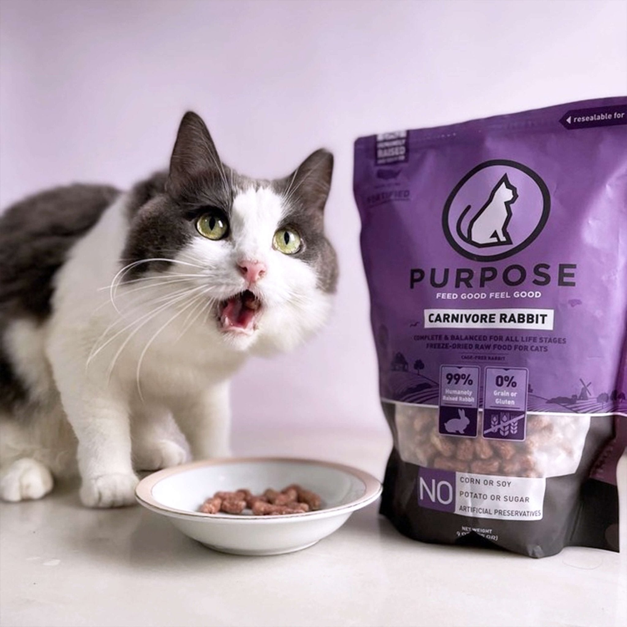Carnivore Rabbit Freeze-Dried Raw Cat Food - PURPOSE PET FOOD